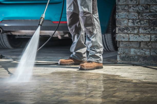 Animal Enclosure Cleaning in Lacoste, TX