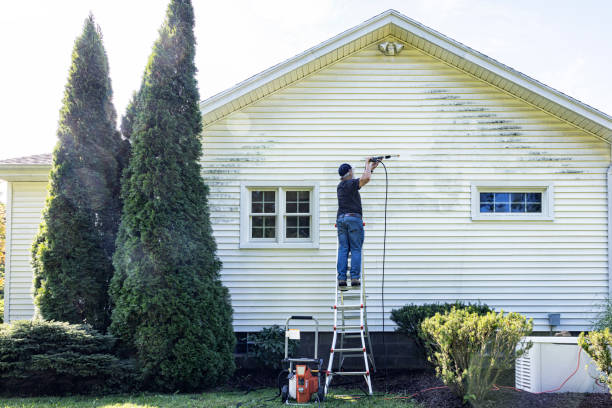 Best Dumpster Area Cleaning  in Lacoste, TX